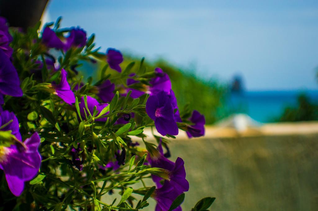 Agathi Beach House Agios Gordios  Exteriör bild